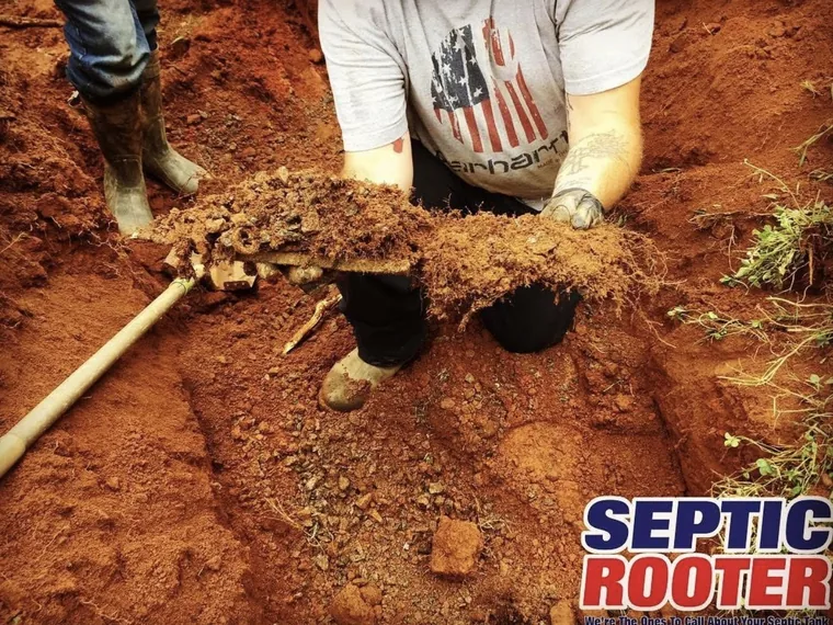 SepticRooter crew pulling a heavy root mass from a septic line